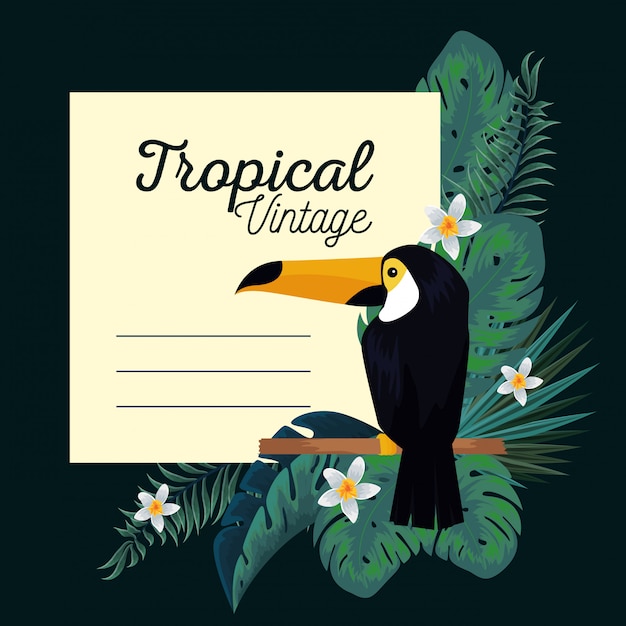 Carte Tropicale Avec Toucan Et Plantes à Feuilles