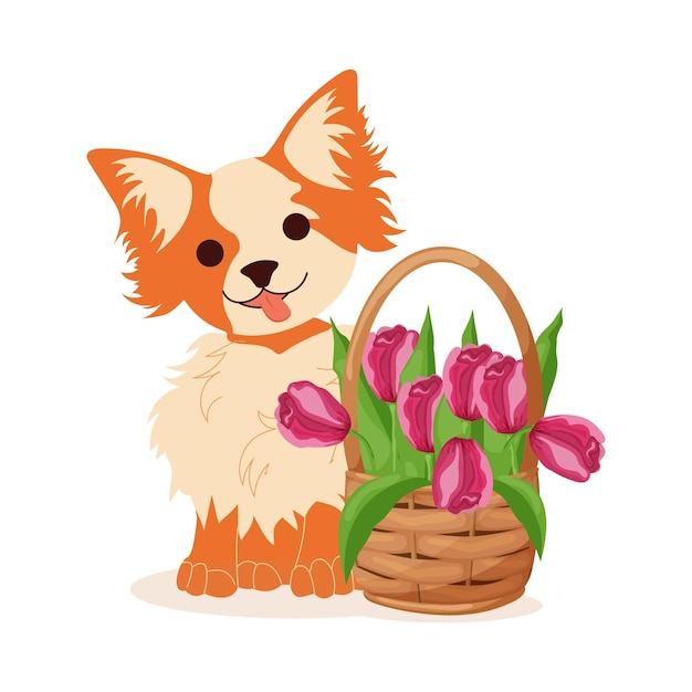 Carte De Voeux Avec Un Joli Chien Chihuahua Et Des Tulipes Dans Un Panier En Osier