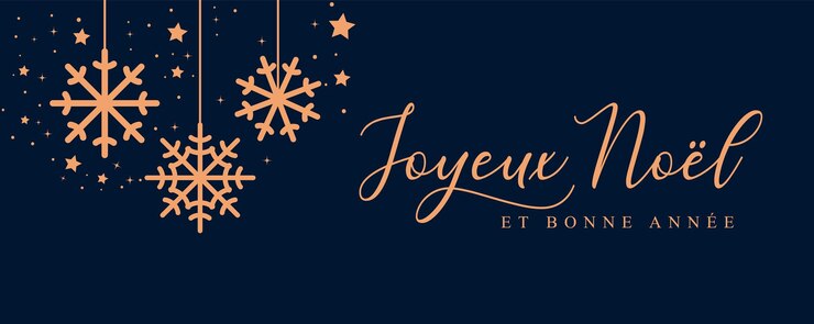 Vecteur carte de vœux de noël en français joyeux noël et bonne année arrière-plan en-tête de bannière