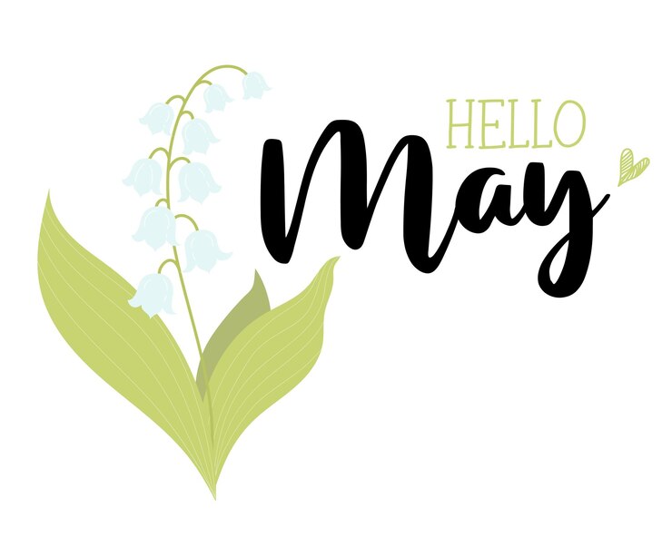 Vecteur carte de voeux de printemps bonjour mai beau muguet de mai avec des feuilles illustration vectorielle