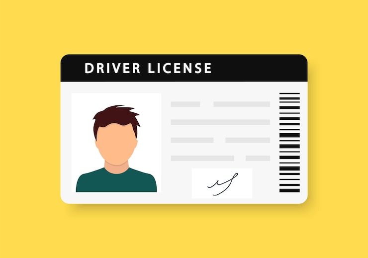 Vecteur cartes d'identité en plastique pour hommes permis de conduire avec photo d'homme sur fond jaune