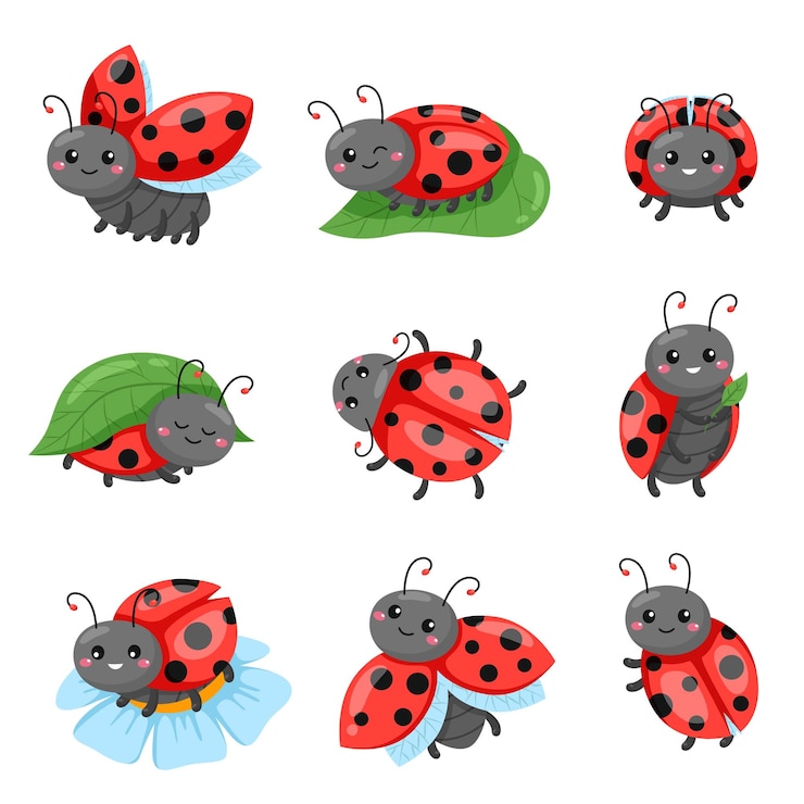 Vecteur cartoon ladybug drôle de coléoptère rouge mignon avec motif de pointes polka volant et rampant personnages d'insectes adorables différentes poses sur la feuille ou la fleur assis émotions heureuses sur le visage vecteur isolé ensemble