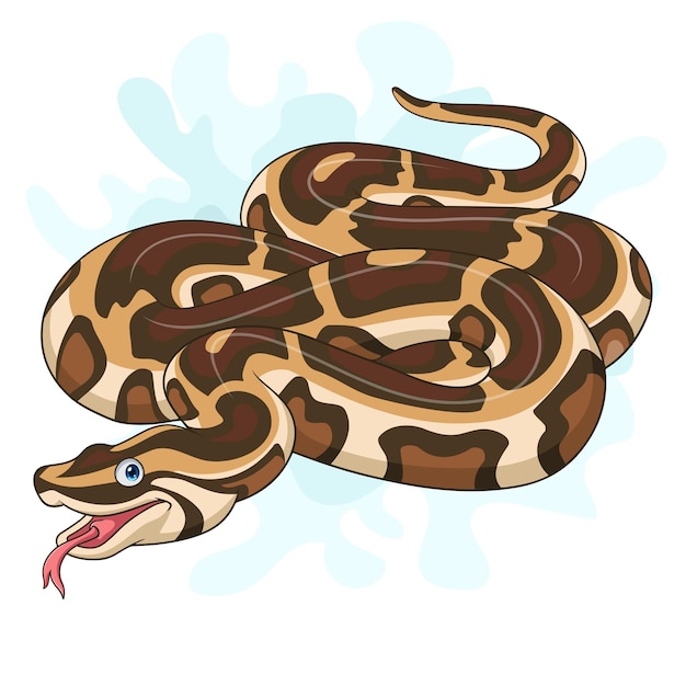 Cartoon de python birman sur fond blanc