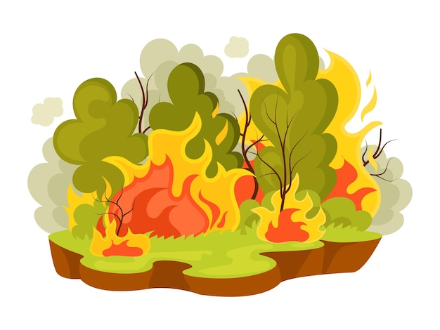 Vecteur catastrophes naturelles incendies de forêt incendies de forêt brûlant des paysages avec des arbres en feu