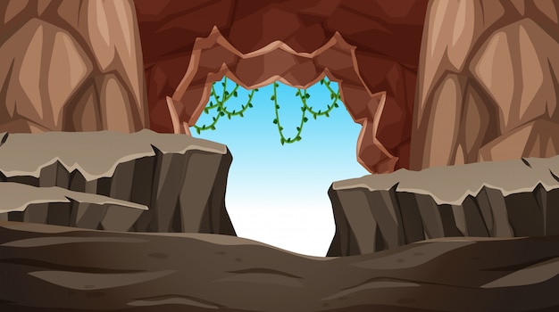 Cave avec une entrée