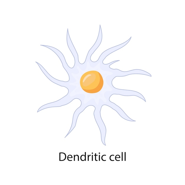 Cellule Neuronale Bleue Membrane Et Noyau