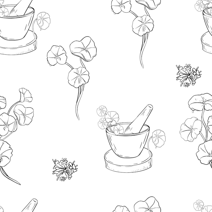 Vecteur centella asiatica plantes de soins de la peau motif sans couture vecteur noir et blanc peint pour l'étiquette de conception médecine ayurvédique mortier de pierre et piston sur support en bois avec contour d'herbe de guérison sur la texture répétée