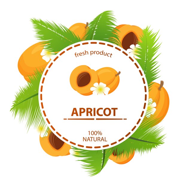 Cercle étiquette Abricot Fruits Tropicaux Feuilles De Palmier Produit Frais 100% Naturel.