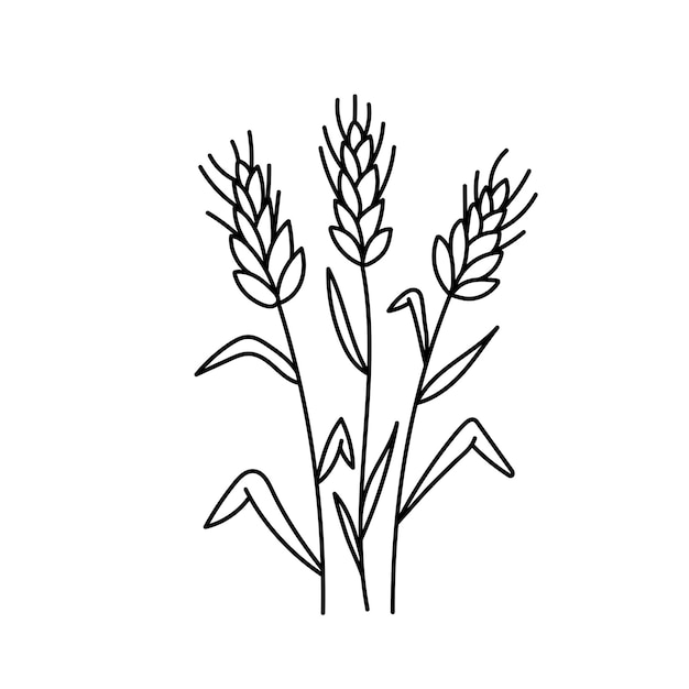Vecteur céréales de blé dans le style de doodle illustration vectorielle