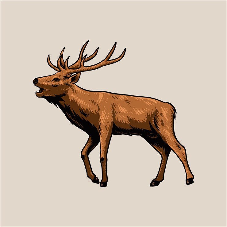 Vecteur cerf savane