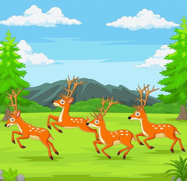 Cerfs de dessin animé en cours d'exécution dans la forêt