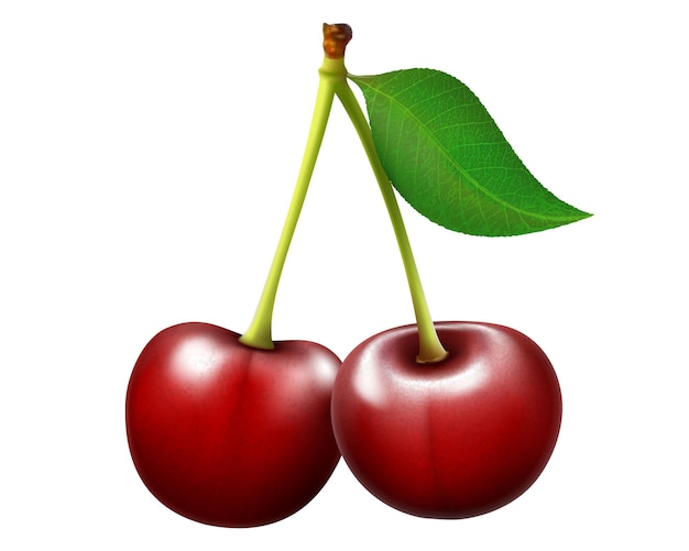 Cerise rouge. Deux baies mûres avec tige et feuille. Illustration vectorielle réaliste isolée sur fond blanc. Fruits sucrés. Icônes vectorielles 3d définies pour le site Web de recette, la conception et les affaires