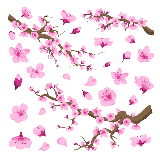 Cerisier En Fleurs De Sakura Avec Motif De Fleurs