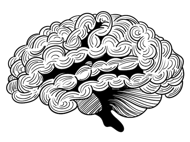 Vecteur le cerveau humain dans le style doodle art