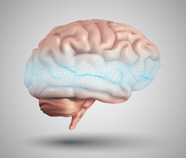 Cerveau humain et éléments de conception abstraite. engrener