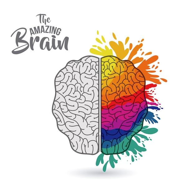 le cerveau incroyable isolé vector illustration design