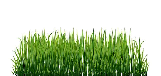 Un champ d'herbe verte avec le mot vert dessus