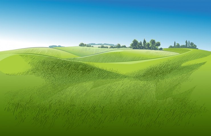 Vecteur champ d'herbe verte sur de petites collines. prairie, pâturage, ferme. panorama paysage paysage rural des pâturages de campagne.
