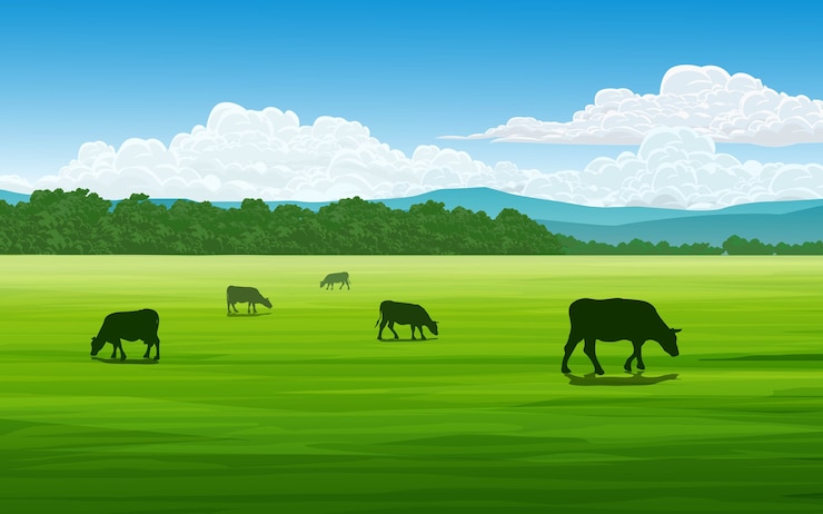 Vecteur champ en journée ensoleillée avec des vaches qui paissent
