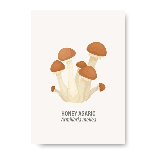 Champignon Agaric De Miel De Vecteur Isolé Sur Carte Blanche Avec Modèle De Conception De Champignons Agaric De Miel De Dessin Animé Dessiné à La Main Clipart Ensemble De Champignons Armillaria Mellea