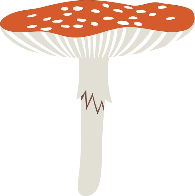 Vecteur champignon agaric mouche