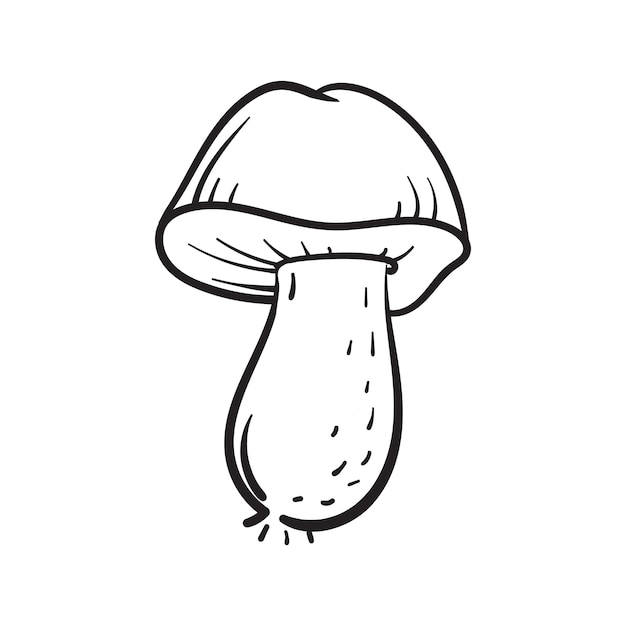 Champignon Blanc Dans Le Style Doodle Gravure De Vecteur Sur Fond Blanc Isolé