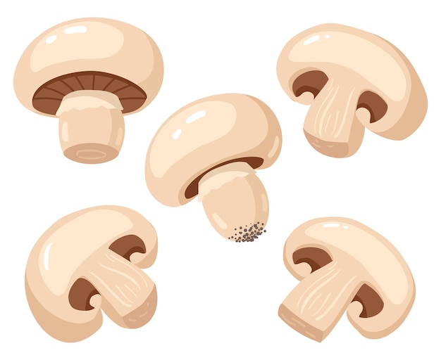 Champignon de dessin animé. Tranches de champignons mûrs savoureux comestibles, délicieux ensemble d'illustration de champignons champignon crus