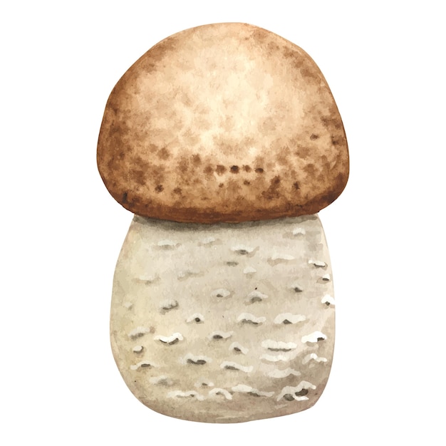 Champignon Forestier Aquarelle Avec Un Chapeau Marron. Cadeaux Comestibles De La Forêt Nourriture Végétarienne