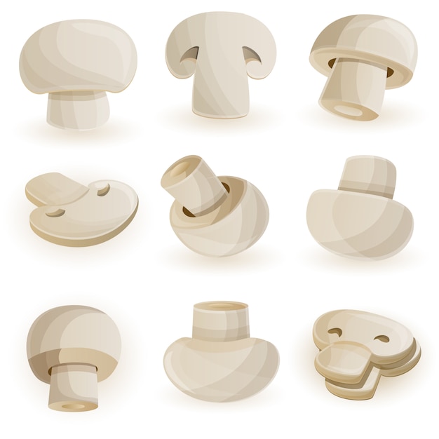 Champignon icon set