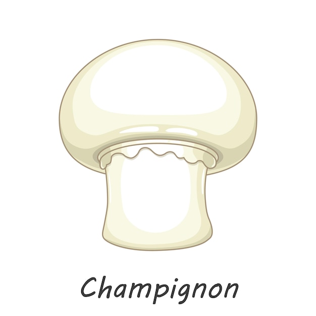 Champignon Isolé Sur Blanc. Champignon De Champignons Comestibles. Style De Dessin Animé Plat