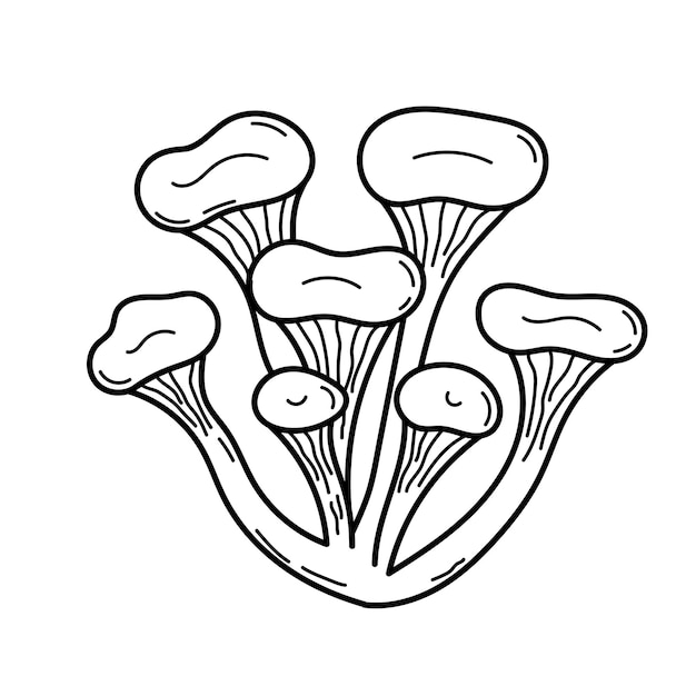 Champignon Mignon Dans Un Style Doodle. Champignon Venimeux. Illustration Vectorielle Isolée à La Main Pour Les Pages à Colorier, Croquis, Contour