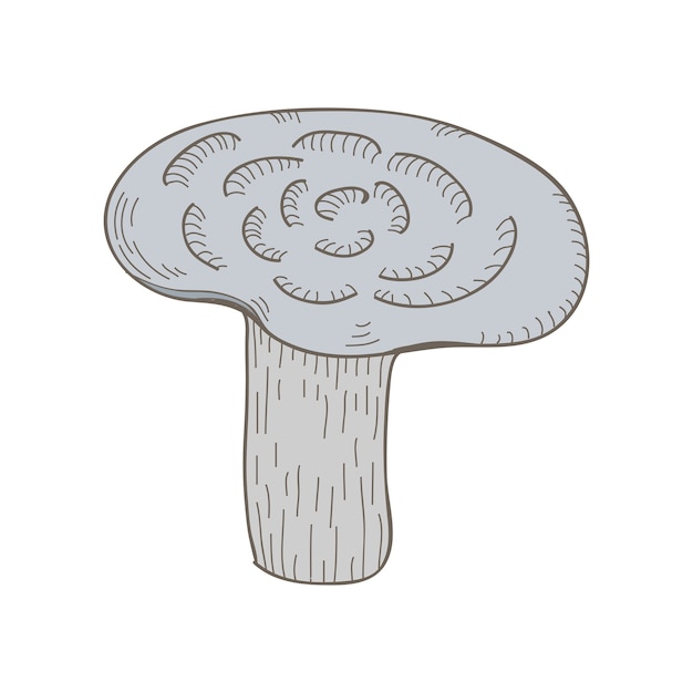 Un Champignon