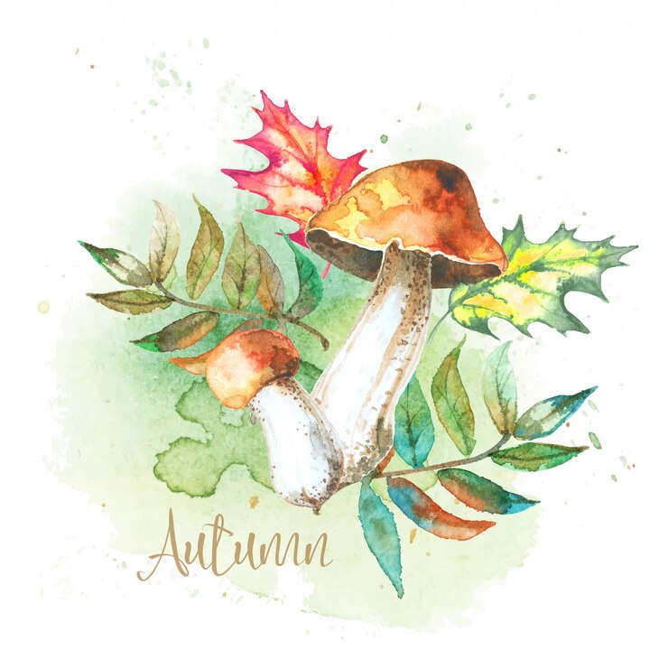 Vecteur champignons aux feuilles d'automne