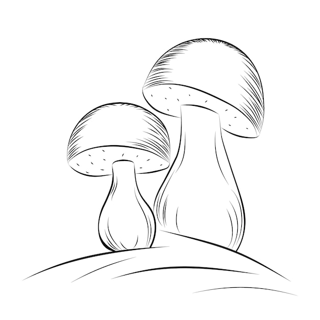 Champignons Blancs Dessinés à La Main Dans Le Style D'esquisse Il Peut être Utilisé Comme Autocollant D'emballage De Produit Vector