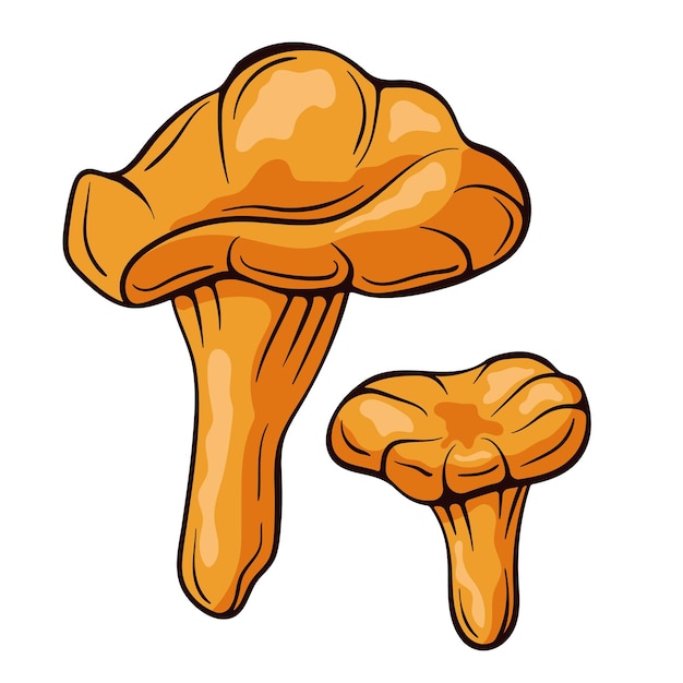 Champignons Chanterelles Colorés Dans Le Style De Dessin Animé Dessin Alimentaire Croquis Dessinés à La Main Illustration Vectorielle