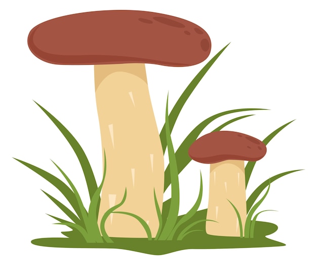 Vecteur champignons en croissance dans l'herbe nature boisée de dessin animé