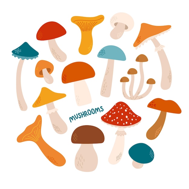 Champignons Définir Différentes Couleurs Et Tailles Illustration Vectorielle Design Plat