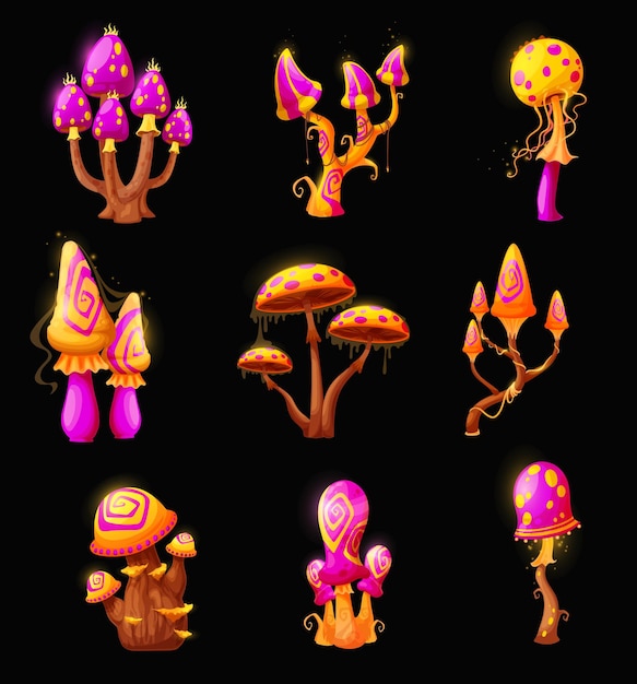 Champignons magiques féeriques fantastiques champignons vénéneux lumineux