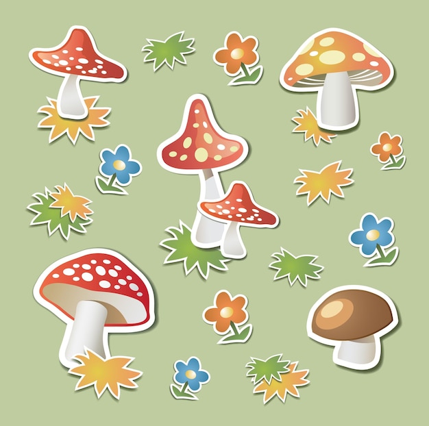 champignons