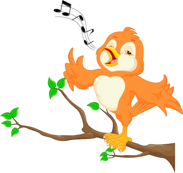 Chant Oiseau Mignon