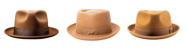 Vecteur chapeau fedora pour ensemble vectoriel homme