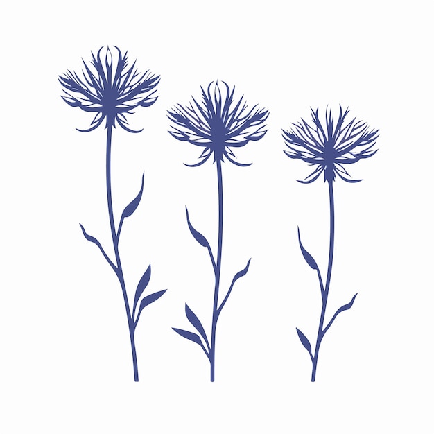 Charmante illustration de bleuet dans un style vectoriel moderne