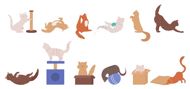 Chat Animal Joue Ensemble D'illustration.