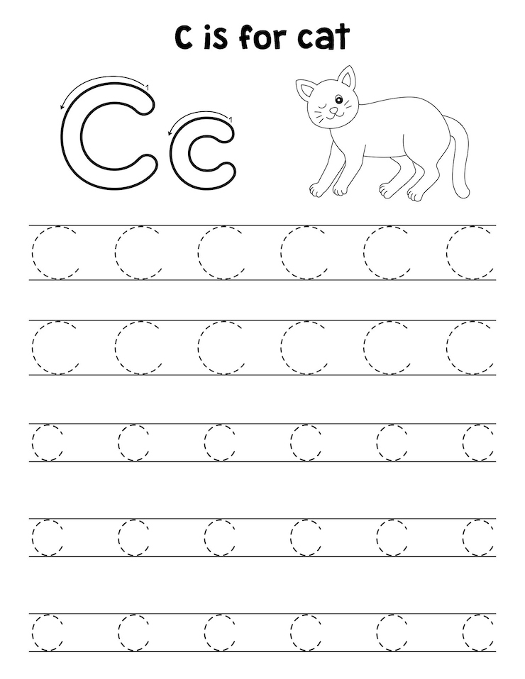 Vecteur chat animal tracing lettre abc coloriage c