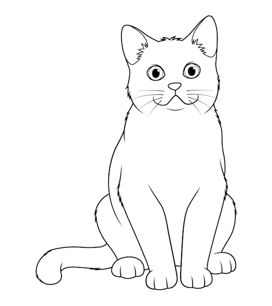 Chat British Shorthair Dessin Animé Animal Illustration Bw