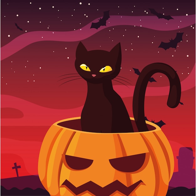 Chat Citrouille Joyeuse Fête D'halloween