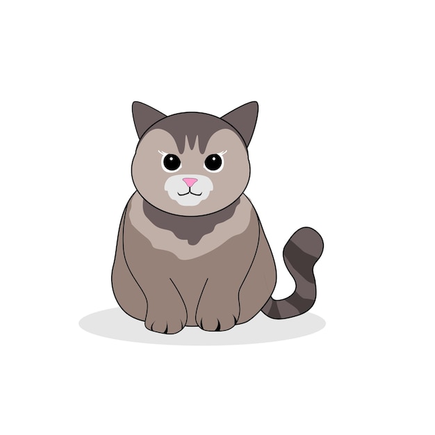 un chat avec un collier qui dit un sur lui