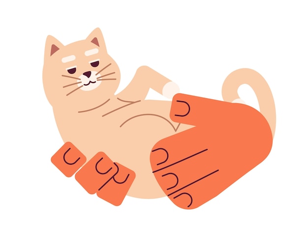 Un chat enroulé tenant des mains de personnages de dessins animés illustration Shelter a adopté un animal de compagnie Chaton mignon image vectorielle 2D isolée sur fond blanc Animal à l'envers dans les mains couleur de clipart plat modifiable