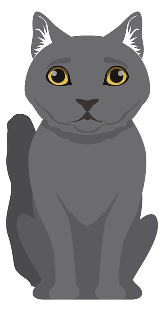 Vecteur chat gris assis animal de race british shorthair