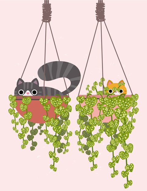 Chat isolé sur fond crème. Chat mignon.